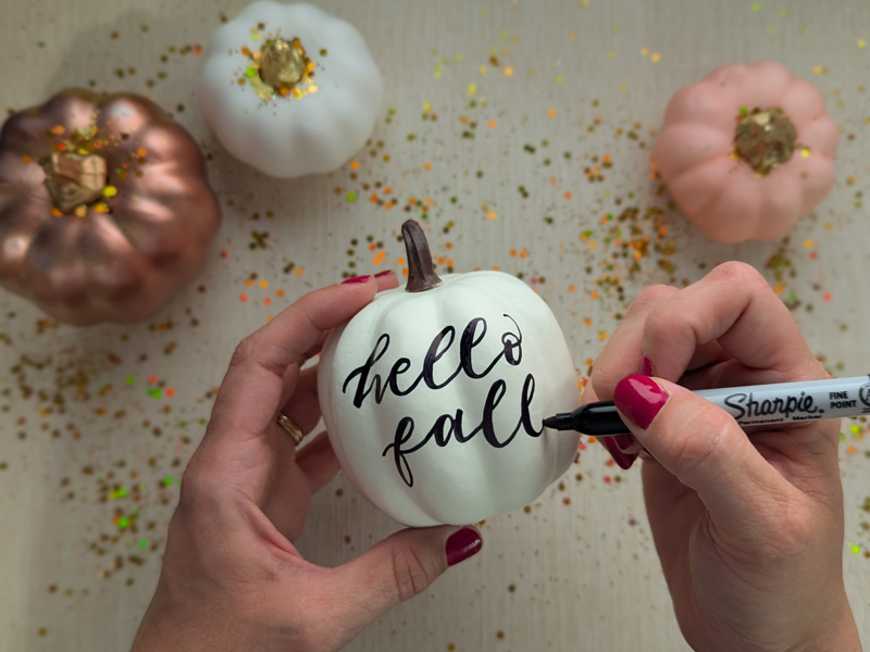 Pumpkin lettering cover photo.jpg (13)