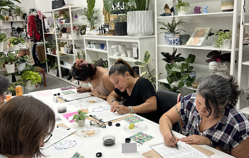 Pilea Plant Shop