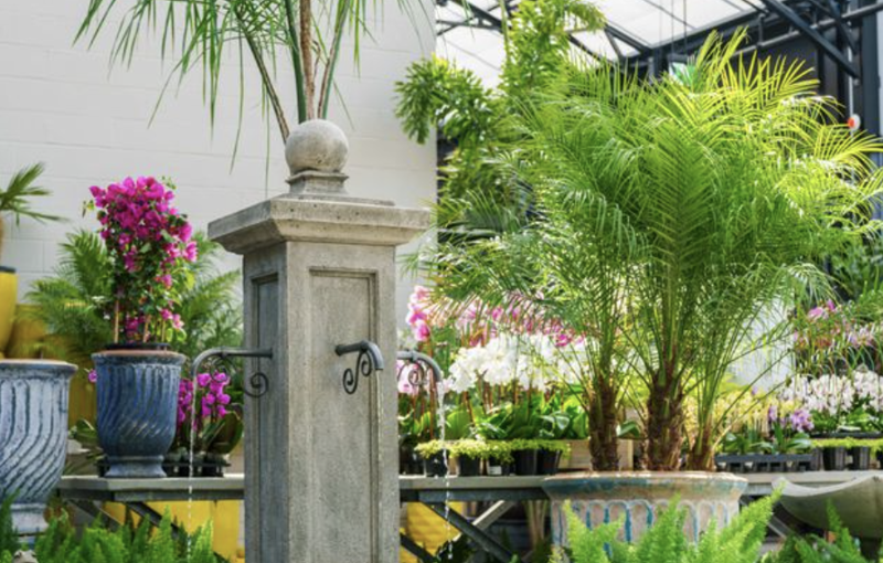 Mahoney's Garden Center Brighton