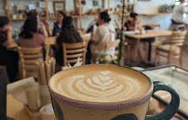 Curator Coffee