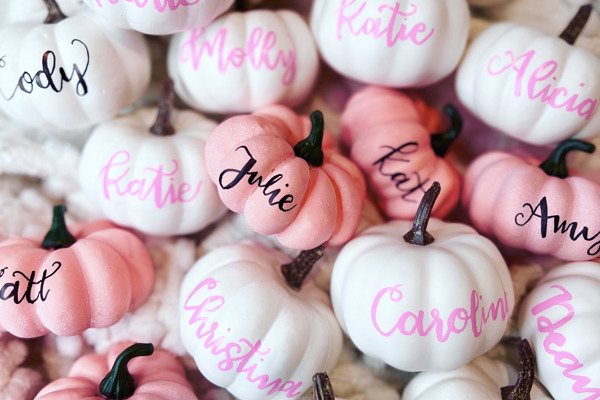 Modern Calligraphy & Pumpkin Lettering for Beginners at Spark Pilates