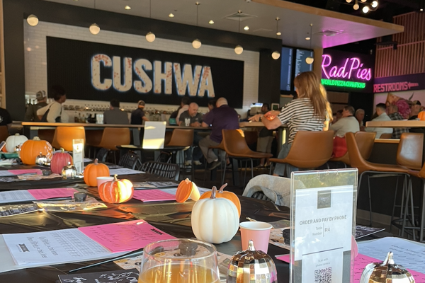 Modern Calligraphy & Pumpkin Lettering for Beginners at Cushwa & Rad Pies Taproom